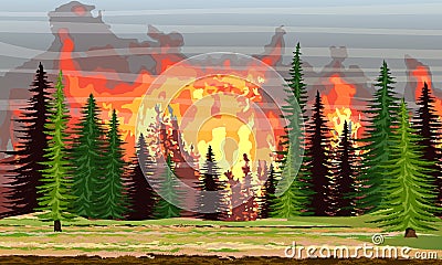 Fire in the spruce forest. Burning trees. Wildfire. Catastrophe Vector Illustration