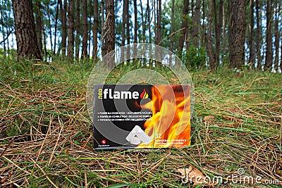 Fire starter box in a pine tree forest Editorial Stock Photo