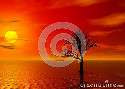 Fire Sunset Stock Photo