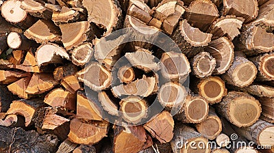 Fire wood Stock Photo