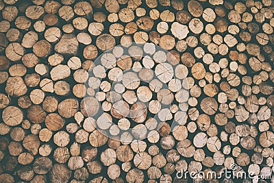 Fire wood natural background texture, chopped firewood Stock Photo