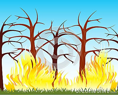 Fire in wood Vector Illustration