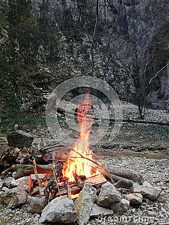 Fire wood wild life freedom travel Stock Photo