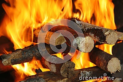 Fire on woods Stock Photo