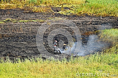 Firefighter at the scene of a wildfire Stock Photo