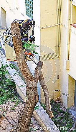 Firefighters cutting a fallen tree against the facade of a building in Barcelona Editorial Stock Photo