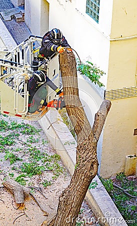 Firefighters cutting a fallen tree against the facade of a building in Barcelona Editorial Stock Photo