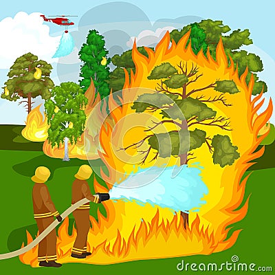 Firefighters in protective clothing and helmet with helicopter extinguish with water from hoses dangerous wildfire.Man Vector Illustration