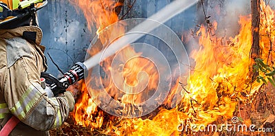 Firefighters spray water to wildfire Stock Photo