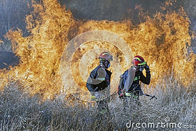 Firefighters try to put out the fire Editorial Stock Photo