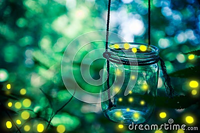 Firefly in a jar Stock Photo