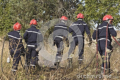 Firemen putting out bush fire Stock Photo