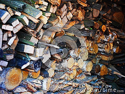 Dry firewood of various species lying in the room Stock Photo