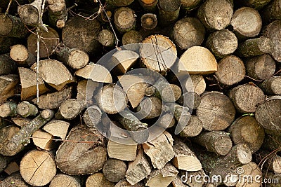 Firewood chopped on logs and stacked. Stock Photo