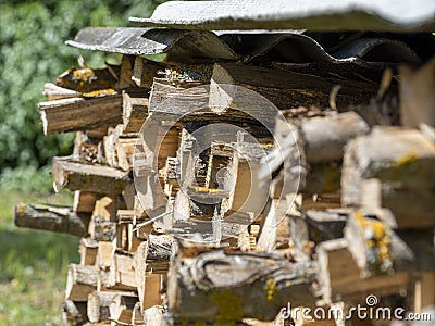 Firewood chopped stacked in a pile, in the summer on a Sunny day. Pile of Firewood.Firewood background Stock Photo