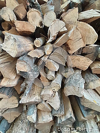 Firewood. Close-up. Stock Photo