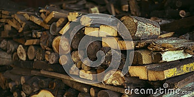 Firewood closeup. Different types of wood harvested for winter Stock Photo