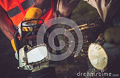 Firewood Logs Cutting Stock Photo