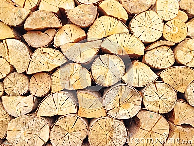 Firewood Stock Photo