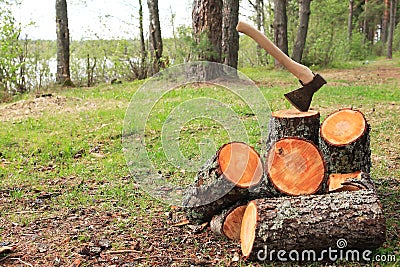 Firewood Splitting Stock Photo