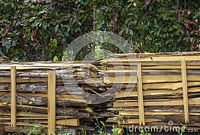 Firewood. Stack of Wood. Heaps of Firewood Near a Natural Wood Wood Processing Factory Stock Photo