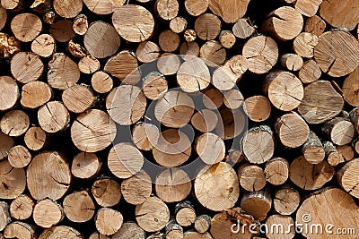 Firewood stacked in the woodpile Stock Photo