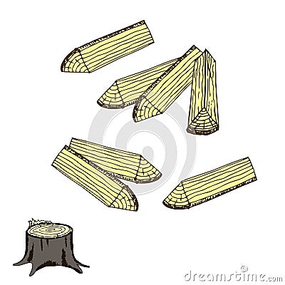 Firewood, stump for forestry industry Vector Illustration