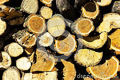 Firewood texture stacked in a wall Stock Photo