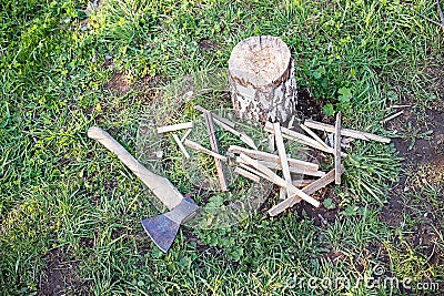 Firewood, tree branch Stock Photo