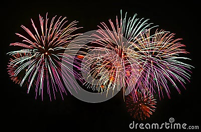 Firework Stock Photo