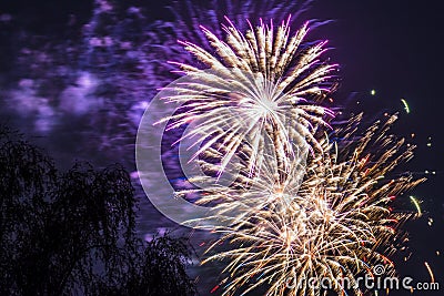 Firework fireworks celebration gold red purple blasts tree Stock Photo
