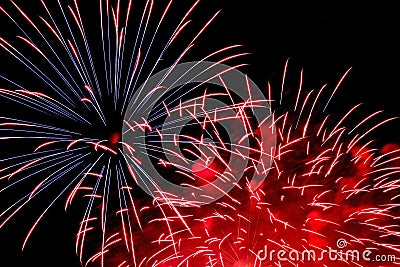 Firework flower in front of black background Stock Photo