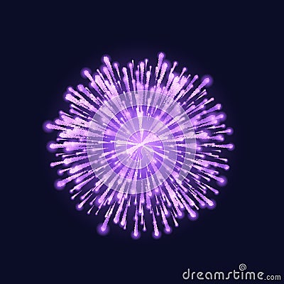 Firework isolated. Beautiful purple firework on dark sky background. Vector illustration Vector Illustration