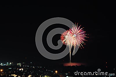 Firework Stock Photo