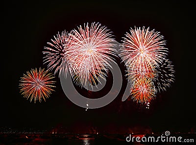 Firework Stock Photo