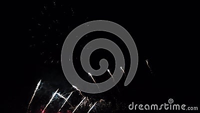 Fireworks in the night sky stock video Fireworks in the night sky stock video