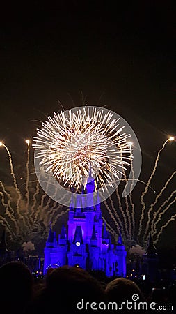 Cinderella Castle in Magic Kingdom Editorial Stock Photo