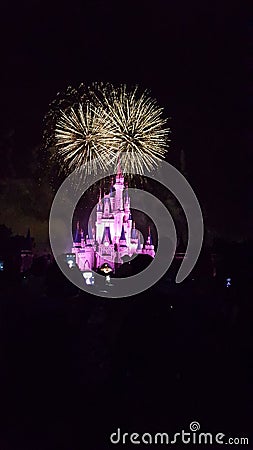 Cinderella Castle in Magic Kingdom Editorial Stock Photo