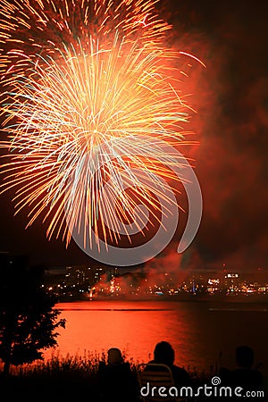 Celebration fireworks Stock Photo