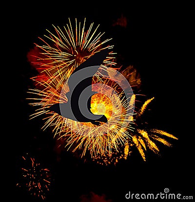Fireworks show with silhouette of a flying bird - London Stock Photo
