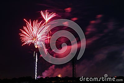 Fireworks in Tampa Stock Photo