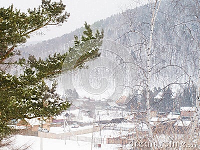 Firry snow branches on the winter russian village background Stock Photo