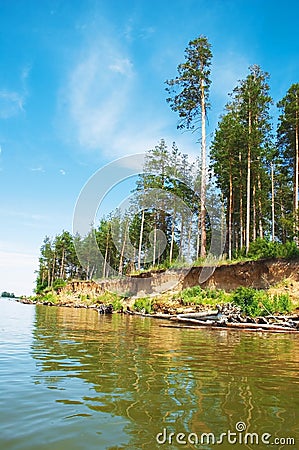 Firs and sea. Stock Photo