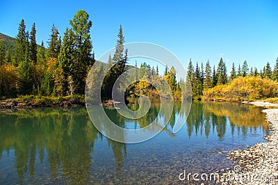 Firs and small lake. Stock Photo