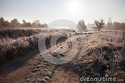 First autumn frost on the road. Road in Autumn. A colourful curving autumn road. Morning autumn landscape Stock Photo