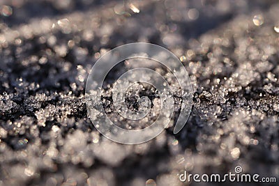 First Forest Frost Tree Surface with Frosty Crystals Stock Photo