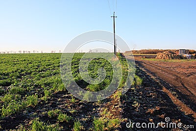 First freezings Stock Photo