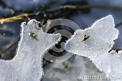 The first frost and the first ise.Figures of ice. Stock Photo