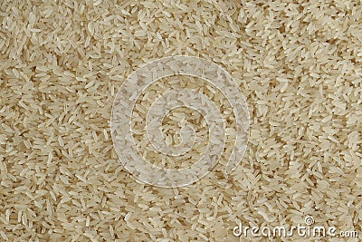 Rice grains. Stock Photo