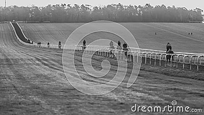 First Light Misty Morning Gallop Editorial Stock Photo